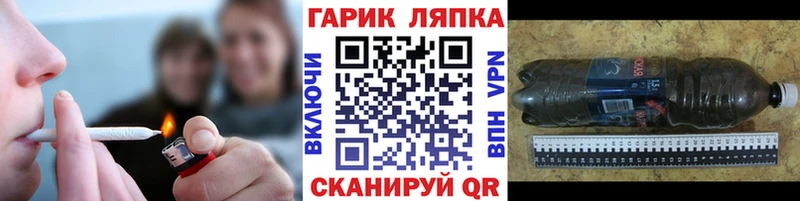 ГАШ Premium Невель