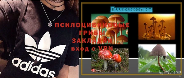 apvp Сатка