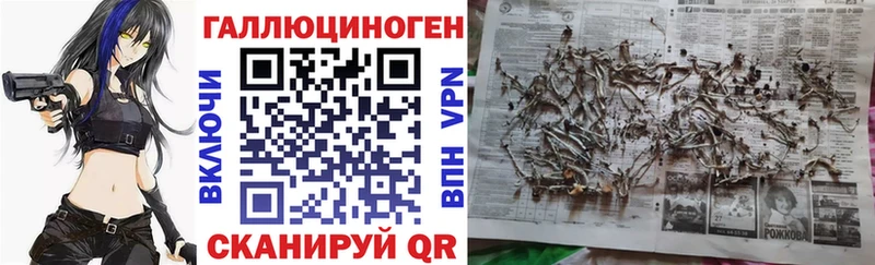 Псилоцибиновые грибы мицелий  где найти   MEGA вход  Невель 
