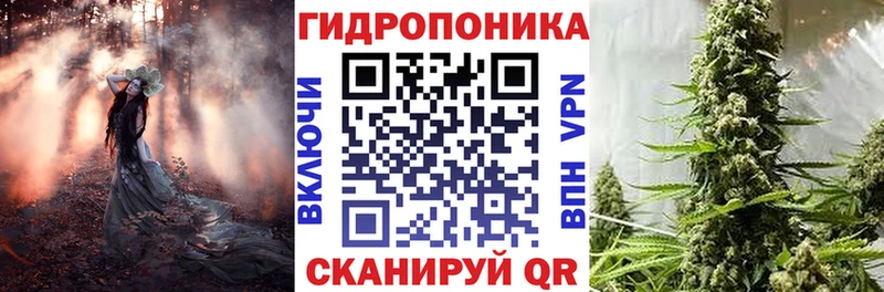 Марихуана OG Kush  Невель 